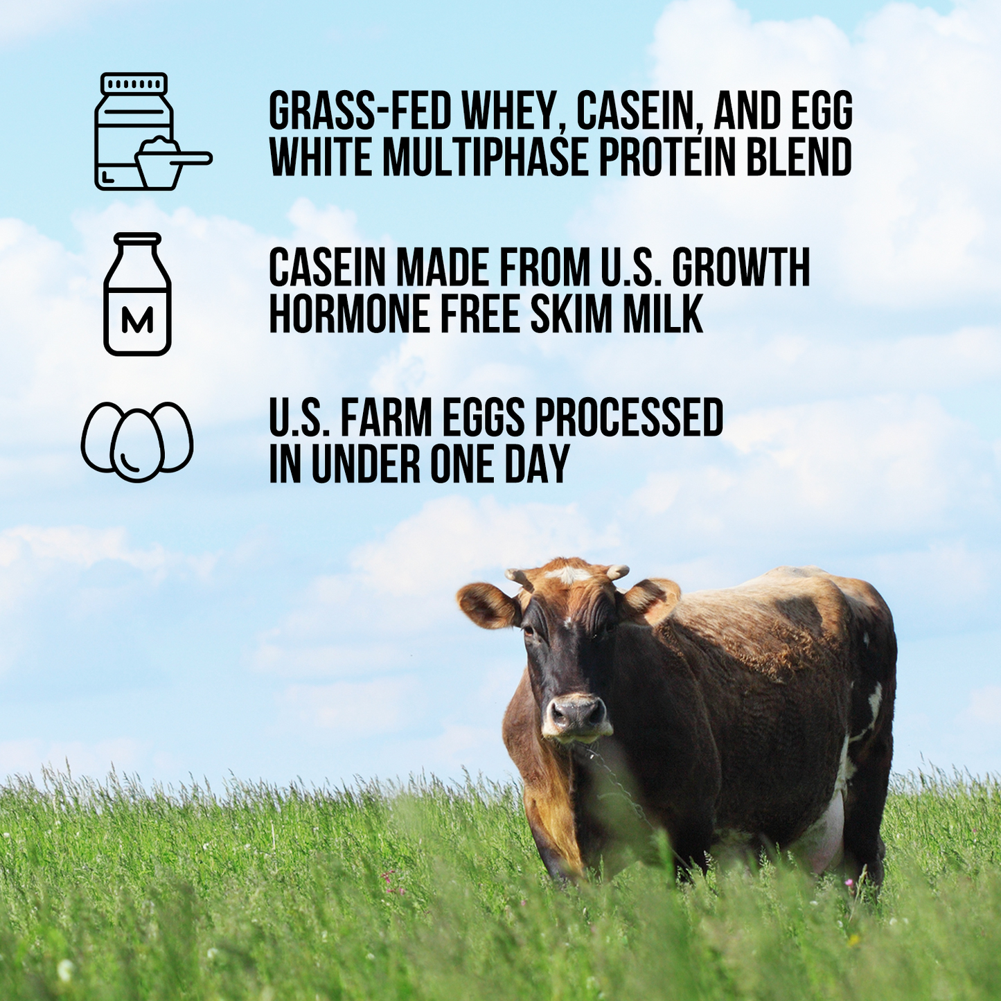 Protein Powder Blend - 3LB Egg Whey & Casein Protein Blend - 3LB | Simple Grass Fed Nutrition