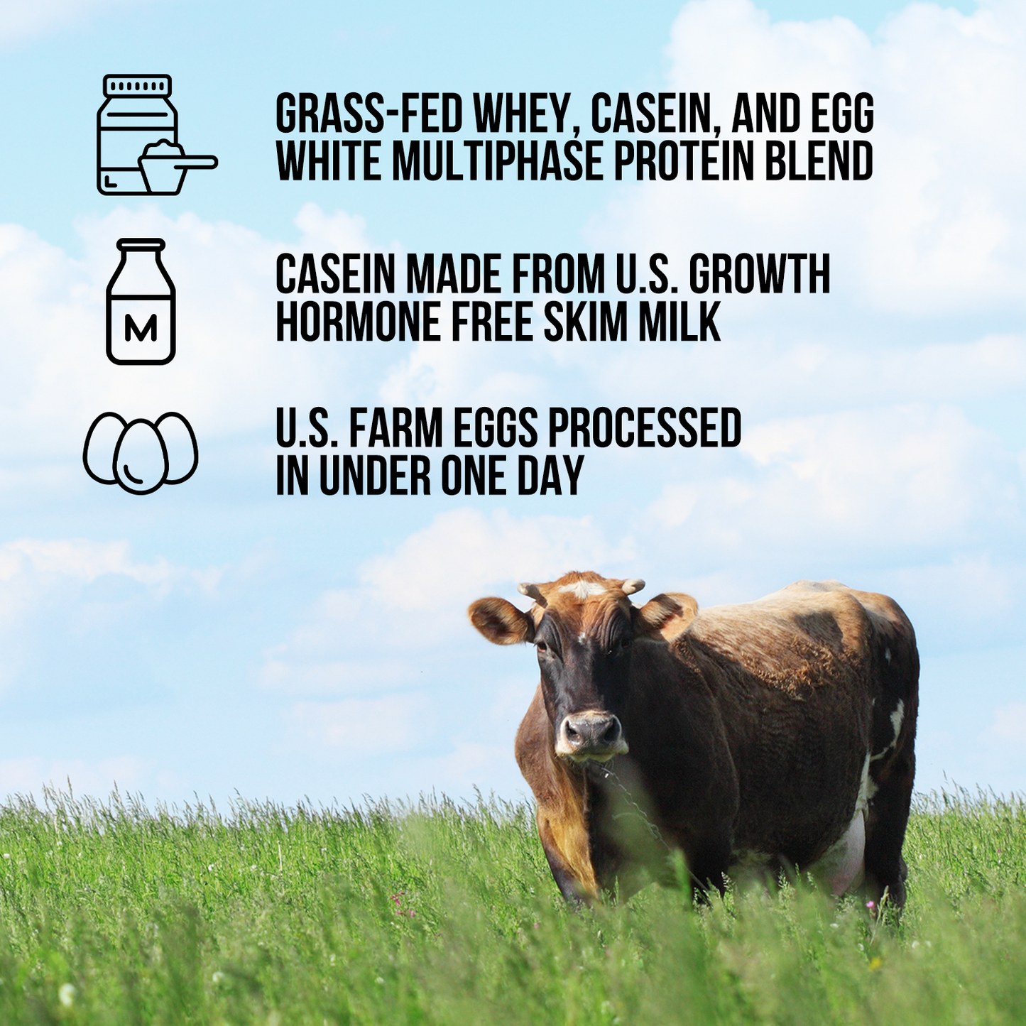 Protein Powder Blend - 1LB Egg Whey & Casein Protein Blend - 1LB | Simple Grass Fed Nutrition
