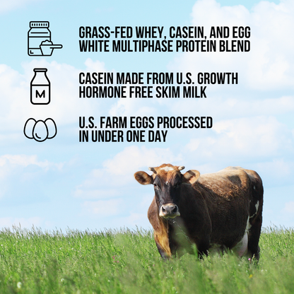 Protein Powder Blend - 1LB Egg Whey & Casein Protein Blend - 1LB | Simple Grass Fed Nutrition