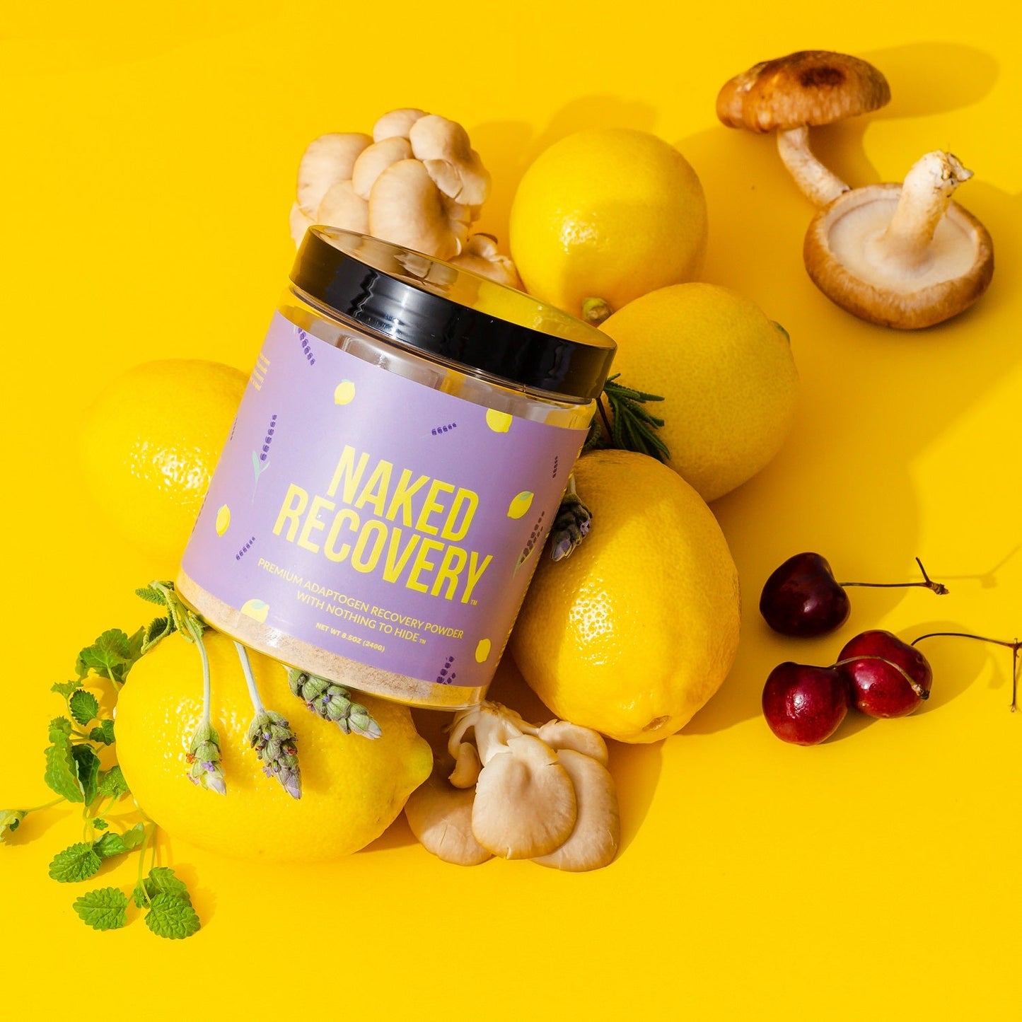 Recovery Mushroom Supplement | Simple Wellness Support