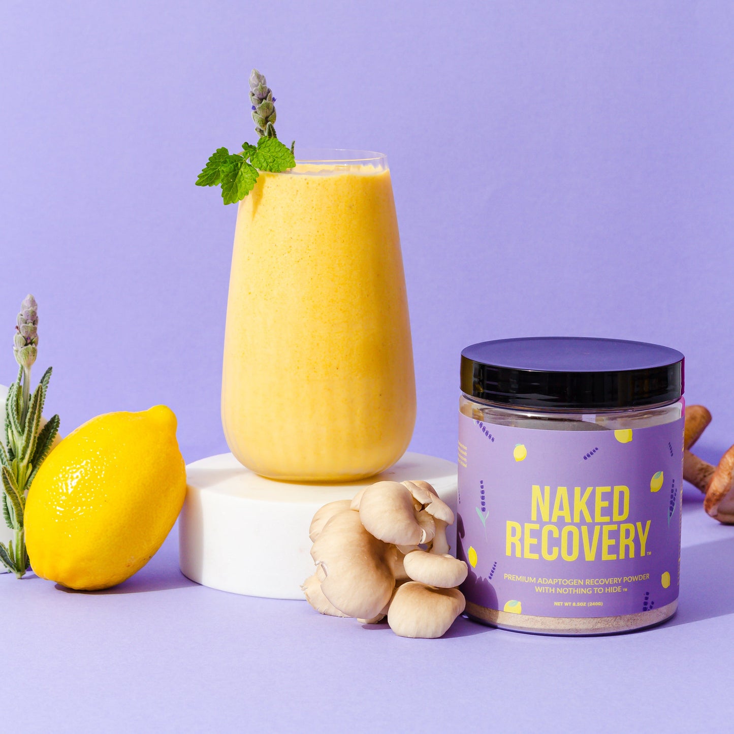 Recovery Mushroom Supplement | Simple Wellness Support