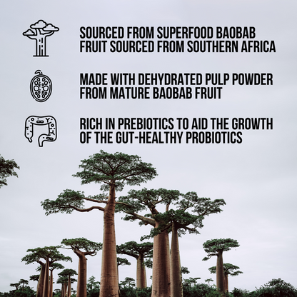 Organic Fiber Supplement | Simple Fiber For Wellness Routines