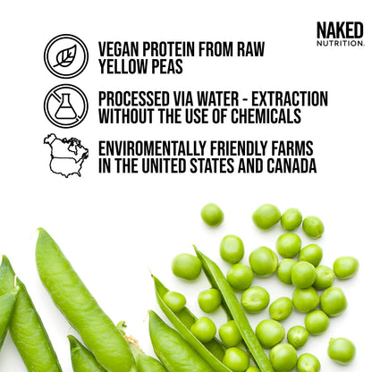 Chocolate Peanut Butter Pea Protein Powder - Chocolate PB | Clean Vegan Protein Support