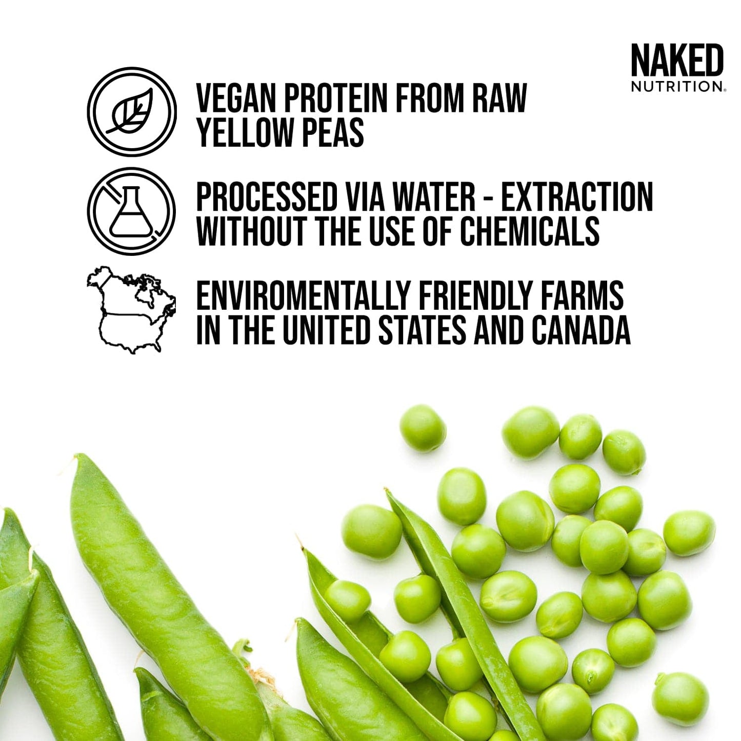 Chocolate Peanut Butter Pea Protein Powder - Chocolate PB | Clean Vegan Protein Support